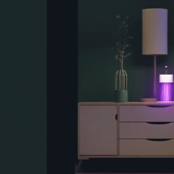 OzLiving™ Mosquito Killer Lamp